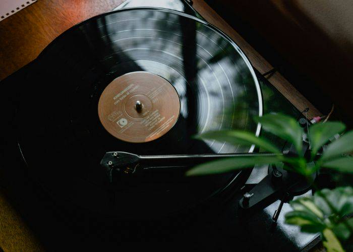 A vinyl record playing underneath the leaves of a plant.